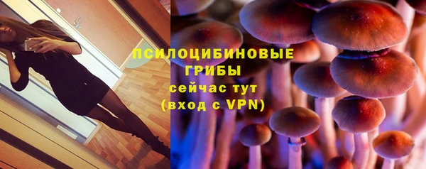 spice Алзамай