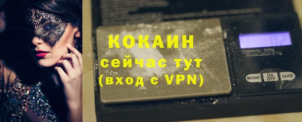 стафф Алексин