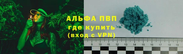 стафф Алексин