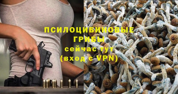 твердый Алексеевка