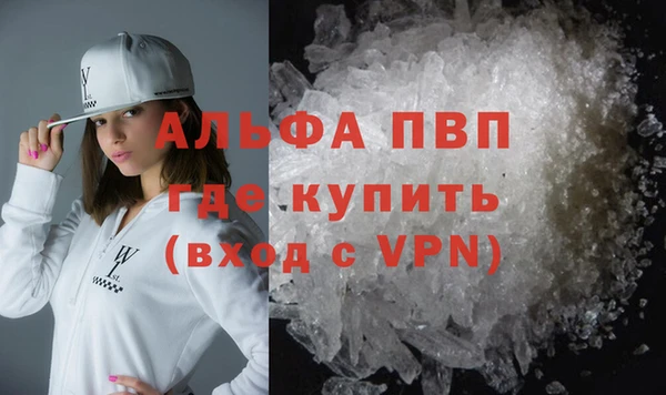 стафф Алексин
