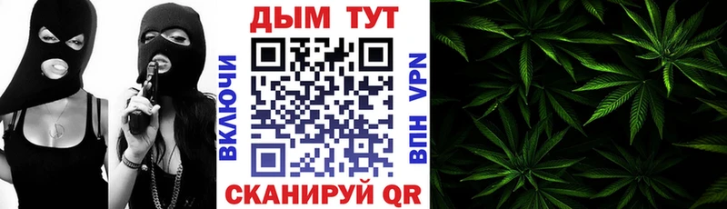купить  сайты  Камбарка  KRAKEN зеркало  Канабис ГИДРОПОН 